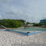 Iles vièrges BVI Anegada 33