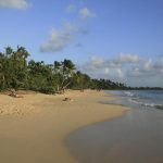 Les Salines Beach